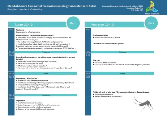 program-meeting