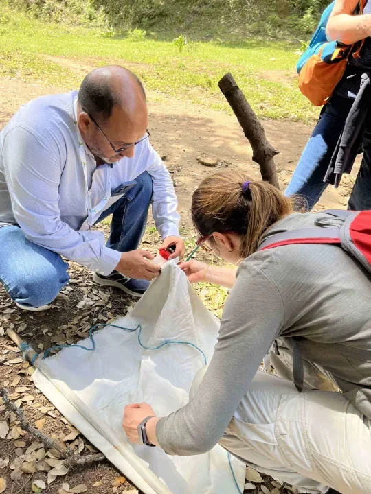 field work