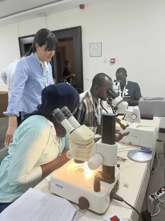 microscope study