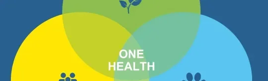 one health 