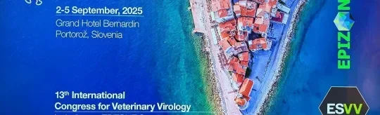 ESVV 2025 CONGRESS