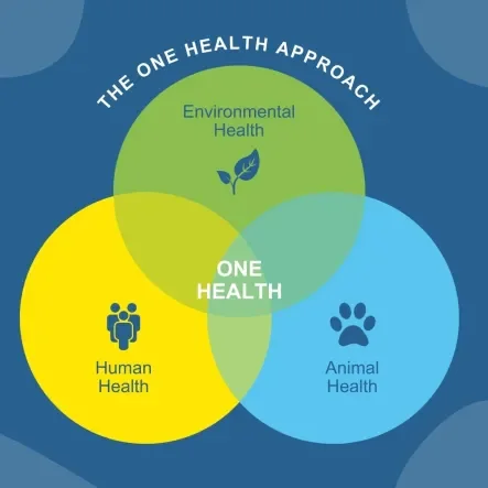 one health 