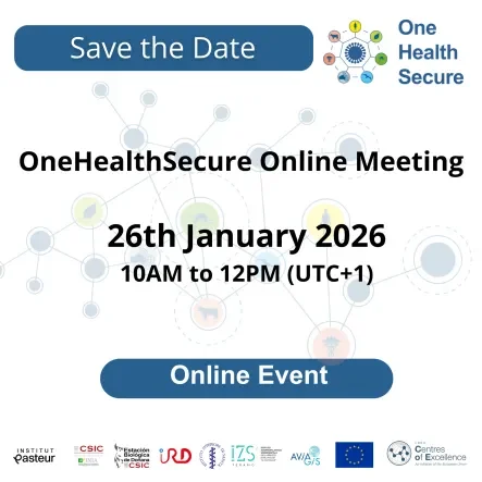 save the date online meeting